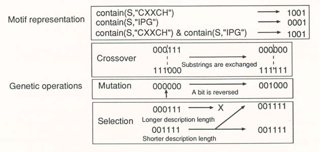 P.95 Figure 1